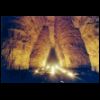 livry_05_champi.html