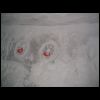 perso_puiselet_100_0075.jpg