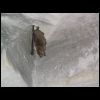 puiselet_100_0067.jpg